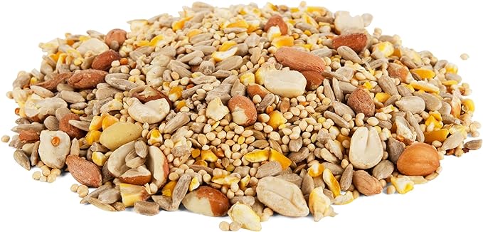 Morning Song Clean & Free Shell Free Wild Bird Food, Premium No Mess Bird Seed for Outside Feeders, 10-Pound Bag