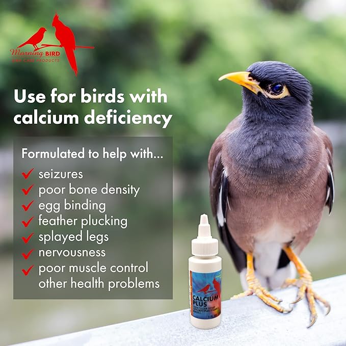 Morning Bird Calcium Plus Supplement for Avian Health, Liquid Calcium Formula with Magnesium and Vitamin D3, 32 Fl. Oz.
