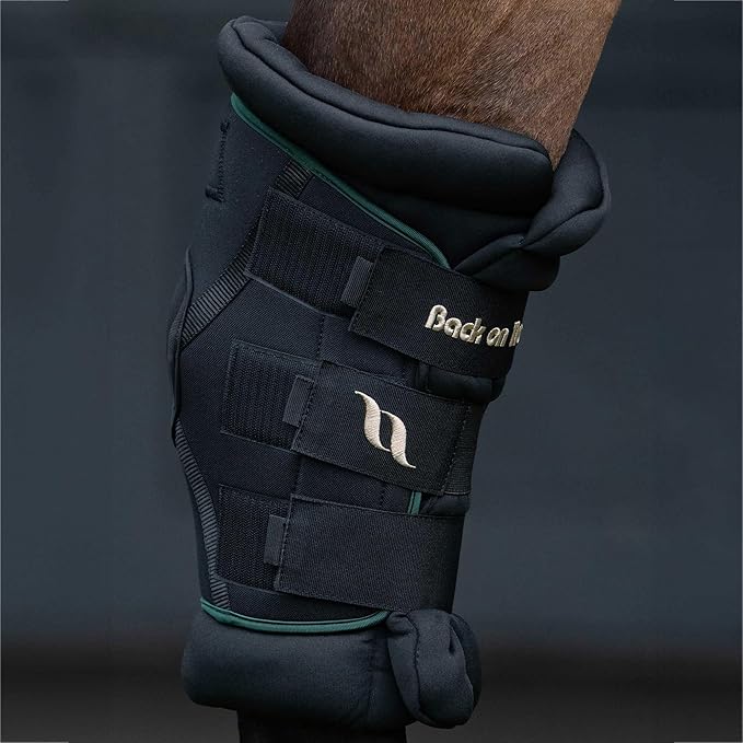 BACK ON TRACK Royal Padded Hock Boots Deluxe with Holes
