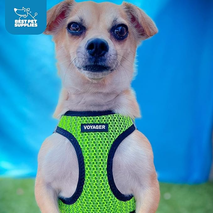 Voyager Step-in Air Dog Harness - All Weather Mesh Step in Vest Harness for Small and Medium Dogs and Cats by Best Pet Supplies - Harness (Lime Green 2-Tone), S (Chest: 14.5-16")