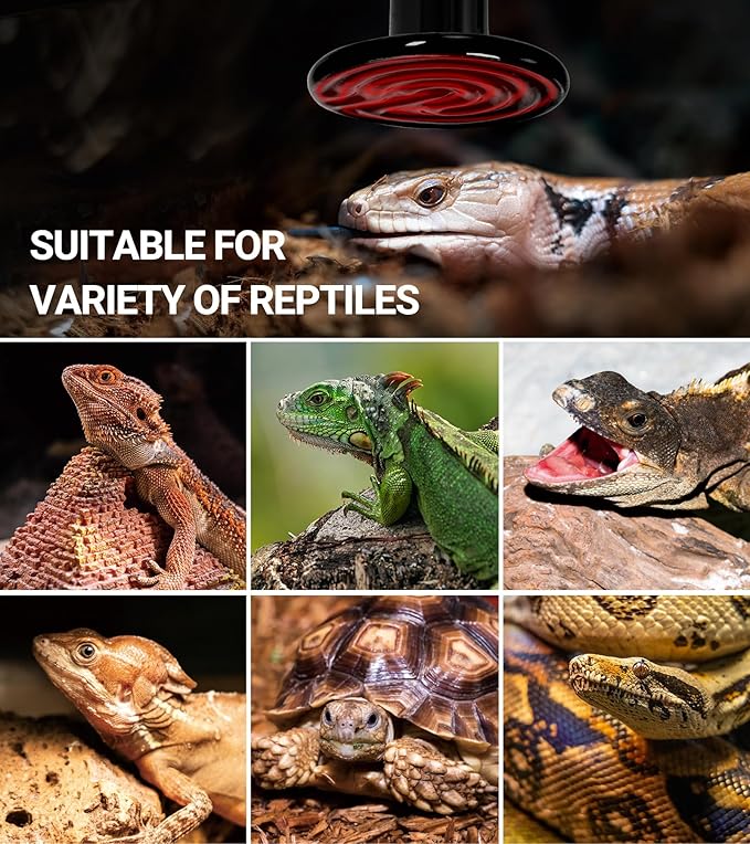 REPTI ZOO 2Pack Ceramic Heat Emitter 60W Reptile Heat Lamp Night Heat Lamp Bulbs Reptile terrarium heat lamp Tank heat bulb for Turtle Bearded Dragon Gecko Lizard Snake Chicken E26
