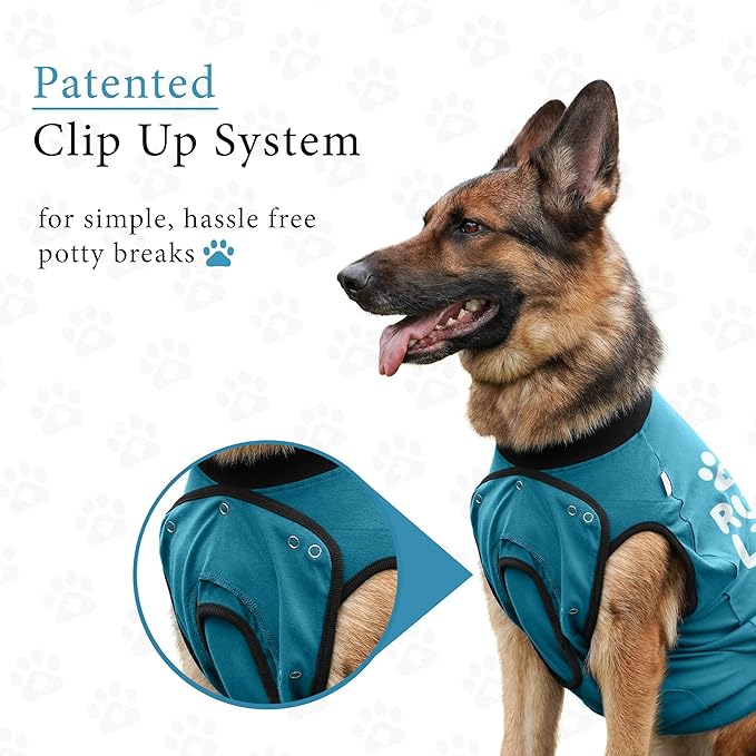 BellyGuard Recovery Suit for Dogs, After Surgery Dog Recovery Suit Female and Male, Soft Cotton Dog Surgery Suit Female Spay, Dog Surgical Recovery Suit Male Neuter, Comfy Surgical Onesie for Dogs.