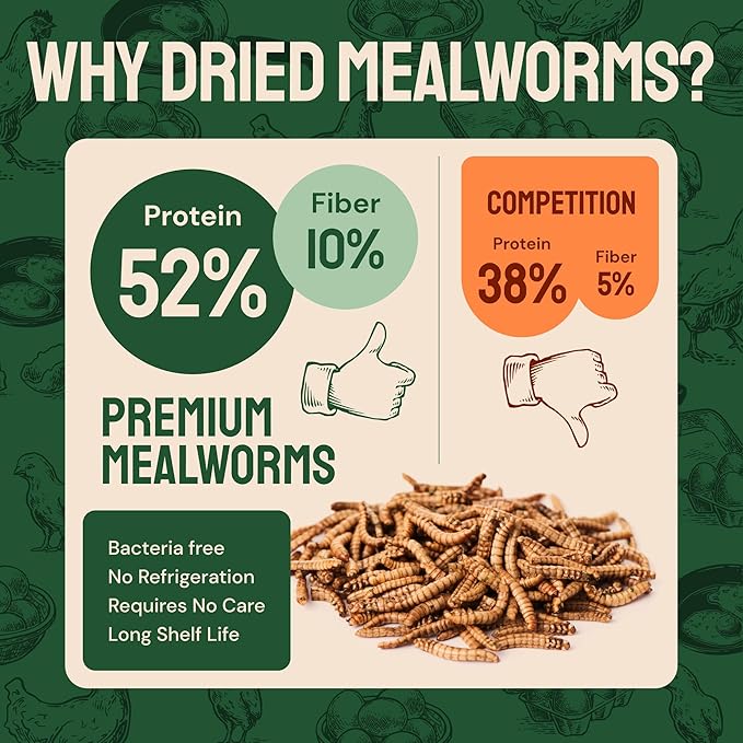 2 lbs Dried Mealworms for Birds – Premium Non-GMO Organic Bird Food for Outside Wild Birds – High Protein Meal Worms, Dried for Birds Feeder – Mealworms for Blue Birds, Reptiles & Turtles