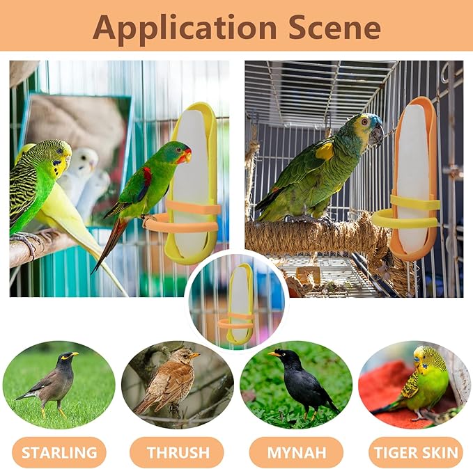 5.9"-6.53" Large Bird Cuttlebone for Parakeets, Cuddle Bone with Plastic Holder, Cuttlefish Bone for Sharp Beaks, Natural Birds Calcium Suitable for Parrots Cockatiels Budgie, 2pcs