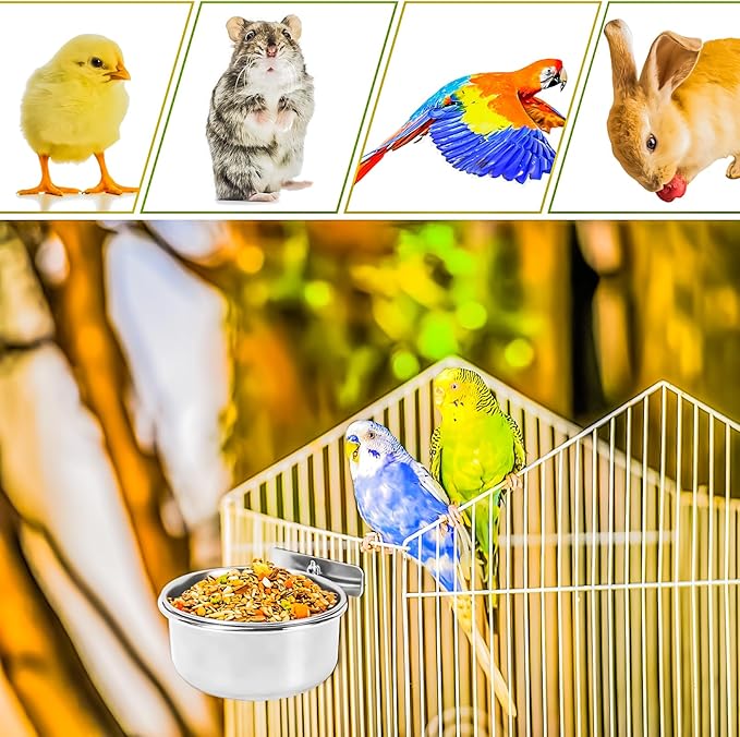 MotBach 2 Pack Stainless Steel Bird Feeding Dish Cups, Bird Feeder Parrot Food Water Bowls with Clamp, Pet Cage Cups Holder for Bird Parrot Cockatiel Conure Budgies Parakeet Small Animal