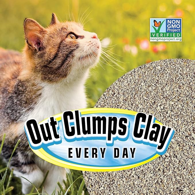 All Natural Clumping Cat Litter, 10 Pound (160oz 1 Pack) - Alternative to Clay and Pellet Litter - Chemical and 99% Dust Free - Unscented and Lightweight