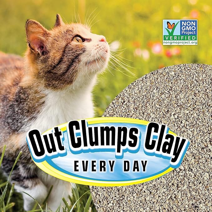 All Natural Clumping Cat Litter - Chemical and Dust Free - Alternative to Clay and Pellet Litter - Unscented and Lightweight - 5 Pounds