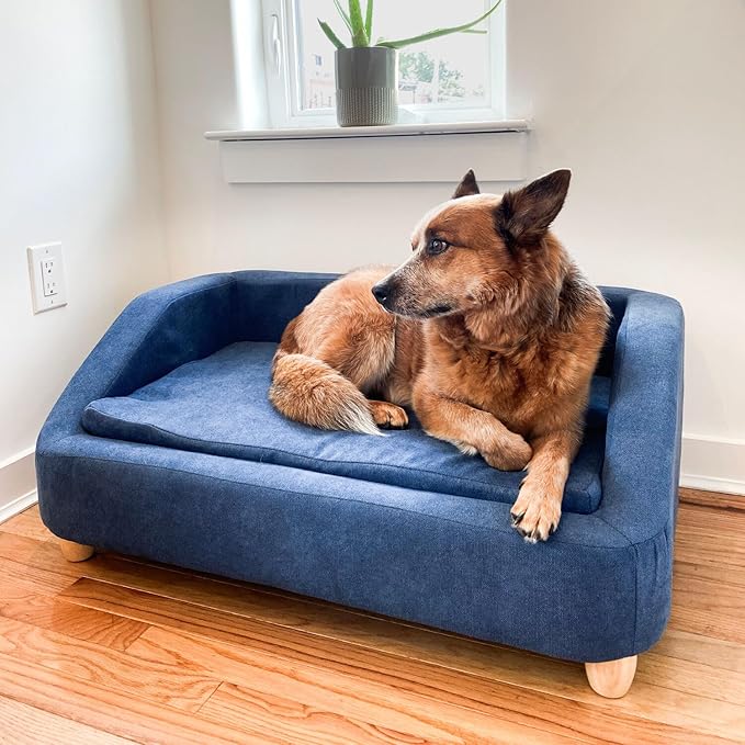 Critter Sitters 36-In. Microfiber Blue Rectangular Dog Couch for Medium-Sized Dogs, Modern and Stylish Elevated Dog Bed for Home or Apartment, Comfortable and Easy to Clean Dog Beds