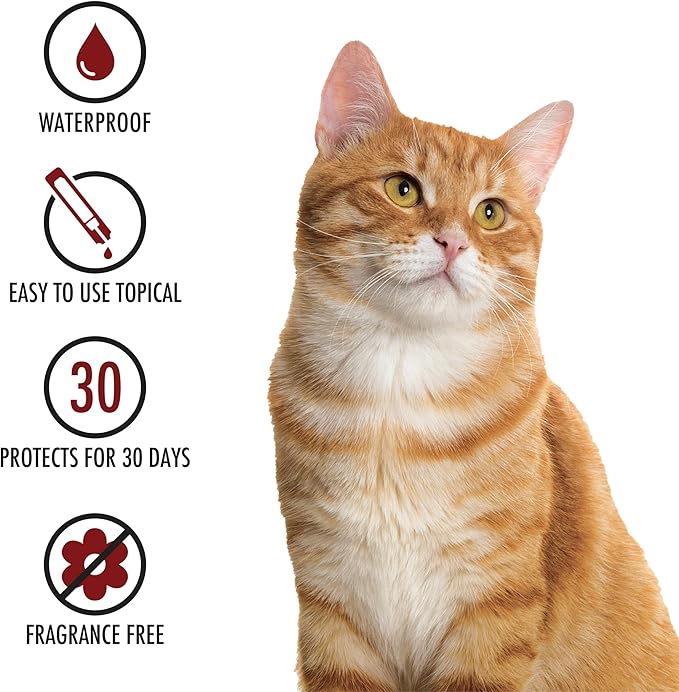 Plus Flea Prevention For Cats, Cat and Kitten Treatment & Control, Small and Large, Fast Acting Waterproof Topical Drops, 4 Month Supply