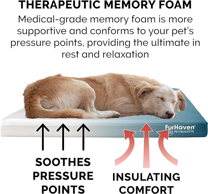 Furhaven Water-Resistant Memory Foam Dog Bed for Large Dogs, Deep Lagoon, Jumbo Plus/XXL, 53"L x 40"W x 5"Th