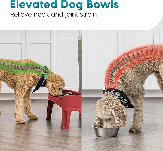 IRIS USA Elevated Dog Bowls, Adjustable Height, 2 Thick 64 oz Stainless Steel Bowls, Spill-Proof with Raised Outer Rim, Durable Made in USA Plastic, Easy Assemble, 2 Heights 4.63" or 12.25" Red