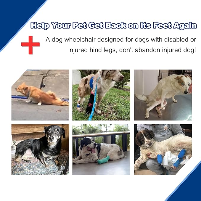 Adjustable Dog Wheelchair for Back Legs| Pet Wheelchairs with Disabled Hind Legs Walking|Stabel & Light Weight | Black(XS)