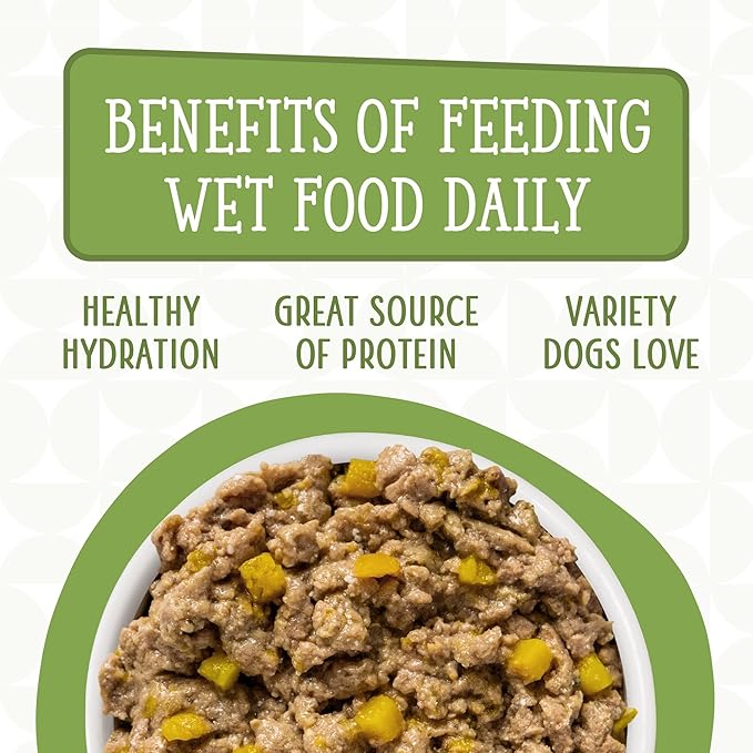 Weruva Dogs in The Kitchen, Lamburgini with Lamb & Pumpkin Au Jus Dog Food, 2.8oz Pouch (Pack of 12), Green