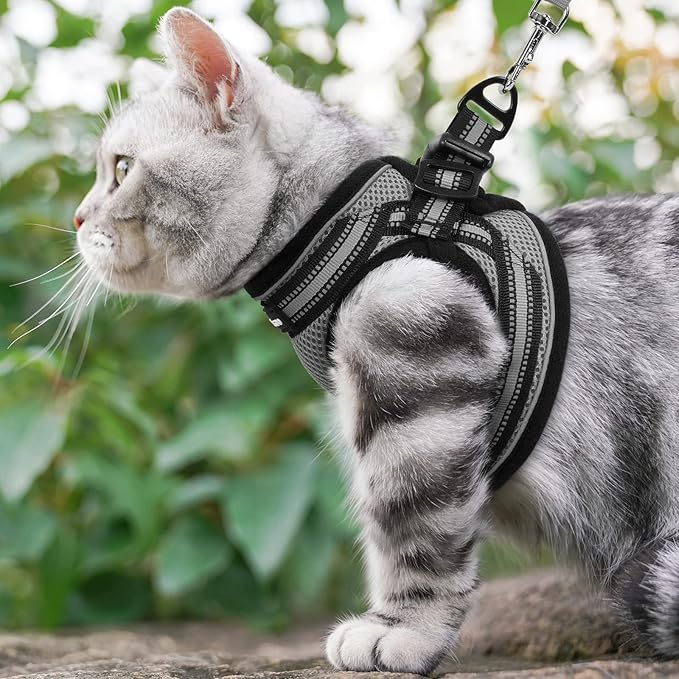 rabbitgoo Cat Harness and Leash Set for Walking Escape Proof, Adjustable Soft Kittens Vest with Reflective Strip for Cats, Comfortable Outdoor Vest, Grey, L