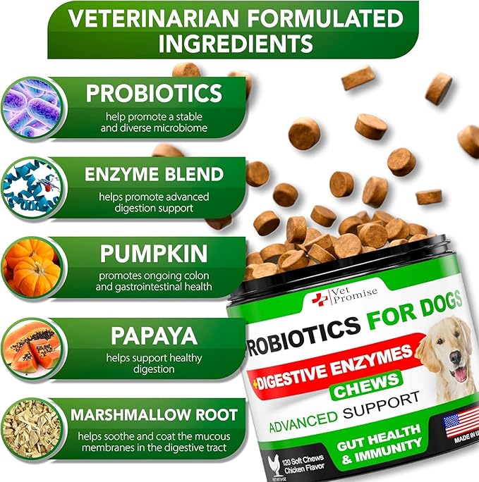 (2 Pack) Probiotics for Dogs - Dog Probiotics and Digestive Enzymes for Gut Health, Itchy Skin, Allergies, Immunity, Yeast Balance - Prebiotics - Reduce Diarrhea, Gas - 240 Probiotic Chews for Dogs