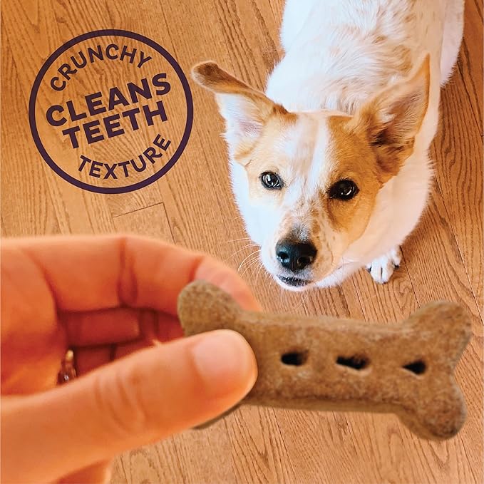 Old Mother Hubbard by Wellness Classic Bac'N'Cheez Natural Dog Treats, Crunchy Oven-Baked Biscuits, Ideal for Training, Large Size, 3 Pound (Pack of 1)