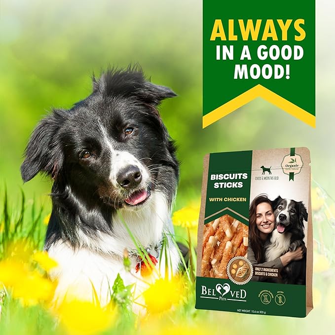 Biscuits Sticks Dog Treats Chicken Wrapped Human Grade Meat - Natural Dried Snacks Rawhide - Free & Grain Free Long Lasting Chews for Large & Small Dogs - Best for Training & Healthy Teeth