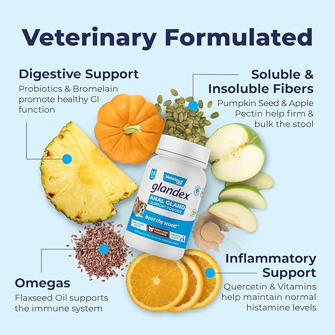 Glandex Dog Fiber Supplement Powder for Anal Glands with Pumpkin, Digestive Enzymes & Probiotics - Vet Recommended Healthy Bowels and Digestion - Boot The Scoot (Pork Liver, 2.5oz Powder)