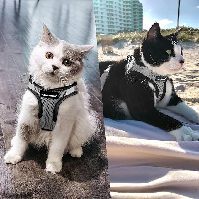 Cat Harness, Cat Leash and Harness Set for Walking Escape Proof, Harness for Small Cats/Small Dogs, Large Kitten/Puppy Harness and Leash, Harness for Cats S-XXL(Light Gray, Large)