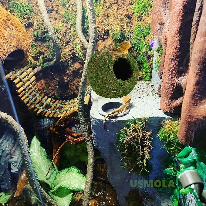 Mossy Caves, Artificial Green Moss Caves Hide for Pet Reptile Frogs and Snakes, Terrarium & Vivarium Decor, Crested Gecko Tank Decor (6" - Woodland Green)