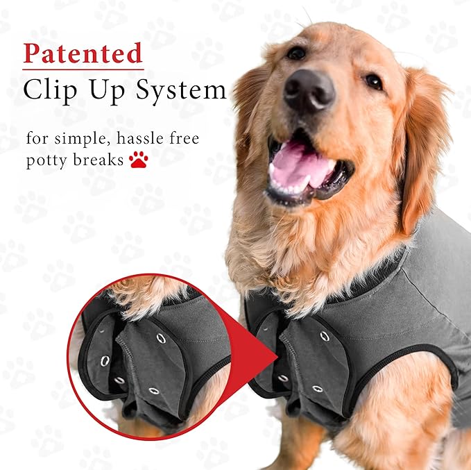 BellyGuard Recovery Suit for Dogs, After Surgery Dog Recovery Suit Female and Male, Soft Cotton Dog Surgery Suit Female Spay, Dog Surgical Recovery Suit Male Neuter, Comfy Surgical Onesie for Dogs.