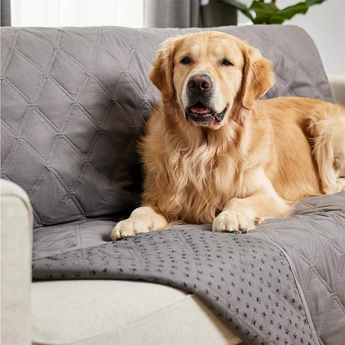 Gorilla Grip 100% Waterproof Dog Blanket, Pet Friendly Throw Essential for Small Dogs, Tear and Slip Resistant Leakproof Washable Couch Cushion Protector Cover for Indoor Furniture, 40x50 Charcoal