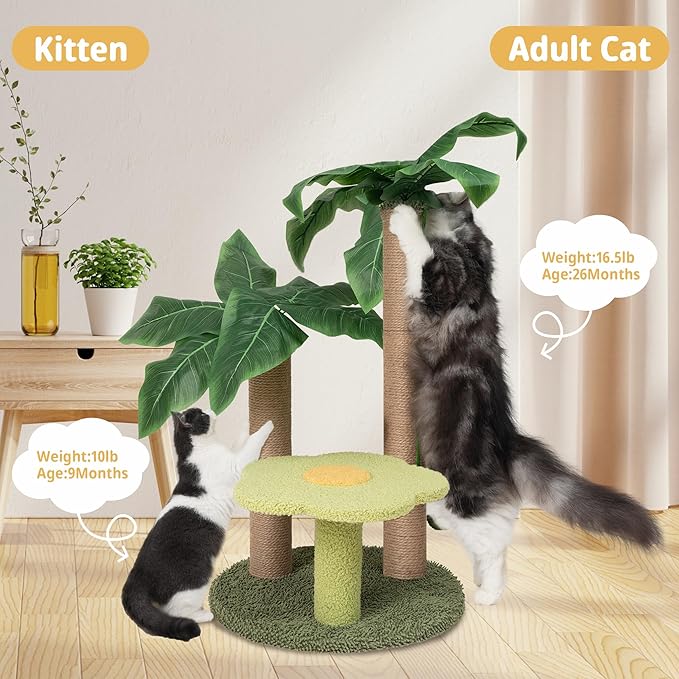 Cat Scratching Post with Flower Bed Cute Cat Scratcher with Sisal Dangling Ball Small Cat Tree for Indoor Cats Perch Cat Tower for Large Adult Cats and Kittens