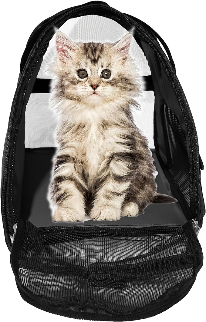 Pet Carrier Soft-Sided Carriers for Cat Carriers Dog Carrier for Small Medium Cats Dogs Puppies Pet Carrier Airline Approved up to 15 Lbs Cat Dog Pet Travel Carrier (Medium,Black)