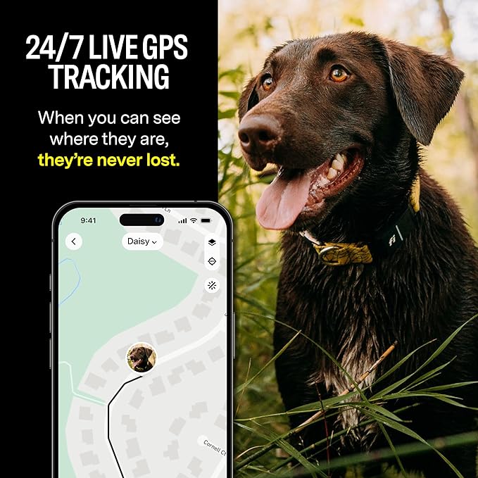 Fi Series 3 Smart Dog Collar - GPS Dog Tracker and Activity & Fitness Monitor, Waterproof, LED Light, Escape Alerts, Nationwide Coverage [Free 1 Year Membership] (Blue, Medium)