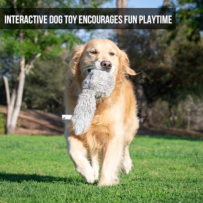 Hyper Pet Doggie Tail Interactive Plush Dog Toys (Wiggles, Vibrates, and Barks, Stimulating Play)