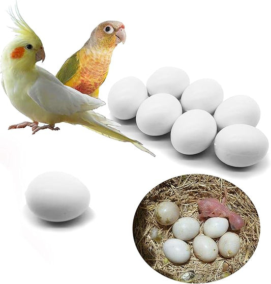 8 Pcs Solid Parrot Plastic Eggs Hatching Eggs Green Cheek, Lorikeet&Ringneck Dove, Quaker, Cockatiel. Trick The Birds to Stop Laying Eggs, Plastic Eggs