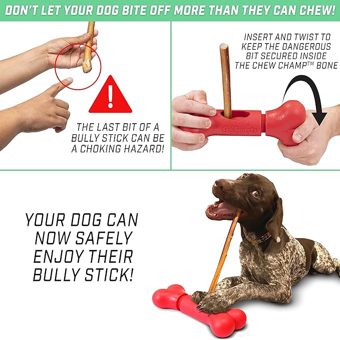 GoSports Chew Champ Bully Stick Holder for Dogs - Securely Holds Bully Sticks to Help Prevent Choking - 6 in or 8 in Size, 1 Count (Pack of 1)