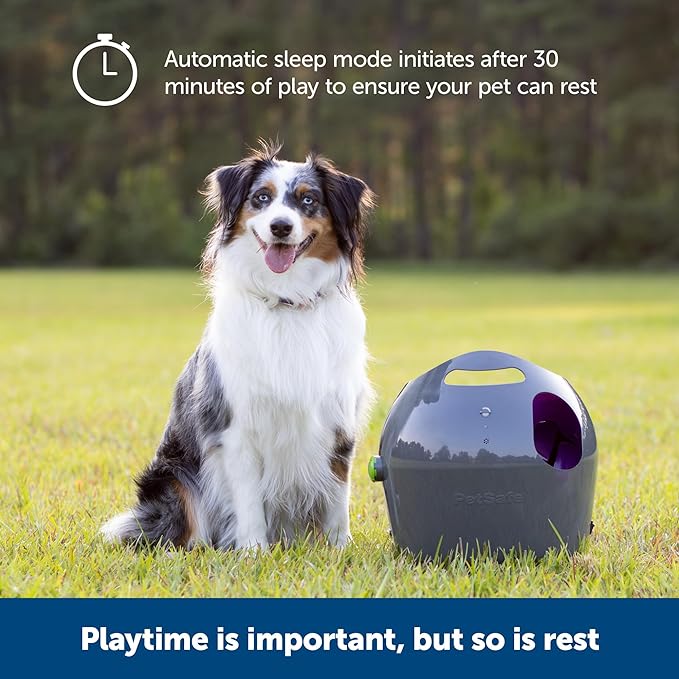 PetSafe Automatic Ball Launcher - Interactive Dog Toy for Enrichment - Tennis Balls Included - Motion Sensor Promotes Safe Play - Indoor & Outdoor - Adjustable Range - A/C Adaptor or Batteries