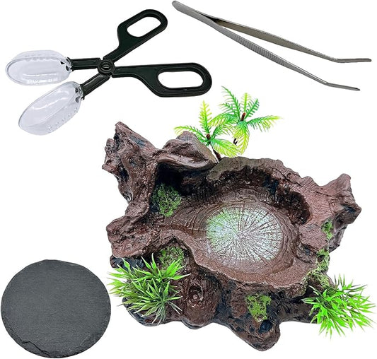 Reptile Feeding Bowl Resin Turtle Food Water Dish Tank Decor Basking Climbing Platform with Feeding Cleaning Tools for Lizard Gecko Chameleon Frog Beared Dragon Spider