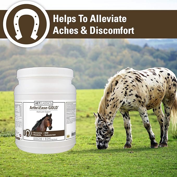 Vet Classics ArthriEase-Gold Joint Support for Horses - Powder Health Supplement for Horses – Alleviates Aches and Discomfort – For Flexibility, Healthy Joint Function – Antioxidants 2 lb. 4 Oz.Powder