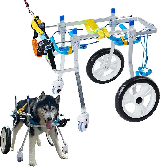 Adjustable 4-Wheel Dog Wheelchair| Pet Wheelchairs with Disabled Hind Legs Walking|Full Support Dog wheelchairs (7-Size) (XL)