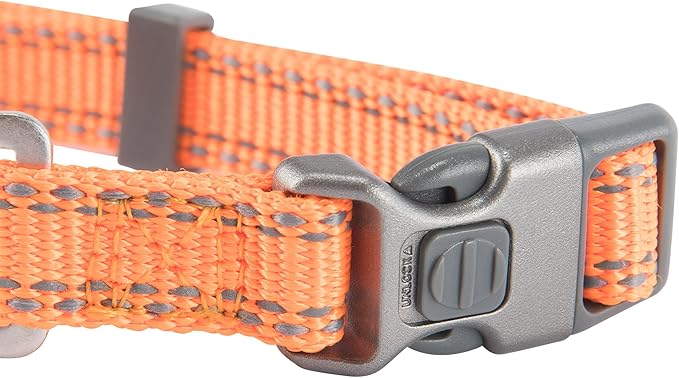 Browning Classic Preformance Webbing Pet Collar, Fully Adjustable, Available in Solid Colors and Camo Patterns, Safety Orange, Small