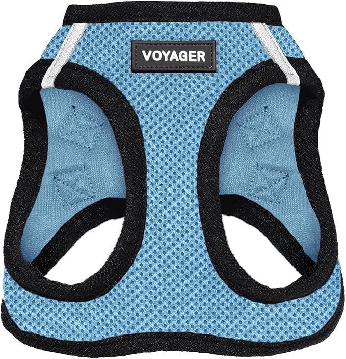 Voyager Step-in Air Dog Harness - All Weather Mesh Step in Vest Harness for Small and Medium Dogs and Cats by Best Pet Supplies - Harness (Baby Blue/Black Trim), L (Chest: 18-20.5")