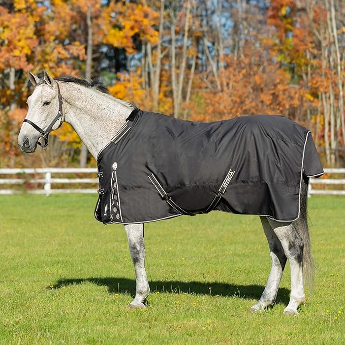 Equinavia Norse No Fill Horse Rain Blanket (0g) | Waterproof Lightweight Turnout Sheet - Black - 66 in - Black - 69 in