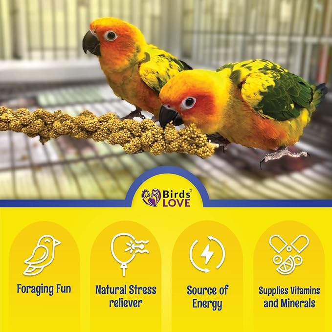 Birds LOVE Economy & Thin Special Spray Millet | GMO-Free (No Stems Only Edible Tops) for Birds Cockatiel, Lovebird, Parakeet, Finch, Canary All Parrots Healthy Treat 7 oz -Pack of 2