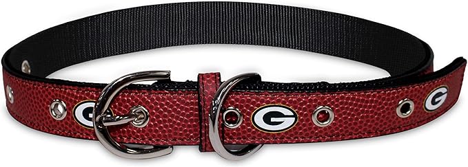 Pets First Tough Leather Pet Collar NFL Green Bay Packers Premium Dog Collar, Limited Edition, Size Large. Best & Strongest Heavy-Duty Dog Collar!, Large (20-29"" Long & 1"" Wide)