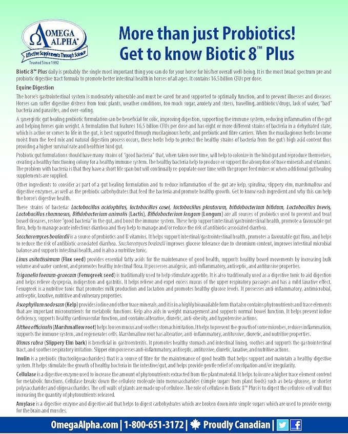 Biotic 8 2.2lbs for horses