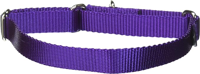 PetSafe Adjustable Martingale Collar - Only Tightens When Dogs Pull, Prevents Slipping Out - Helps with Strong Pullers, Increased Control - Alternative to Choke Collar - 3/4", Medium, Deep Purple