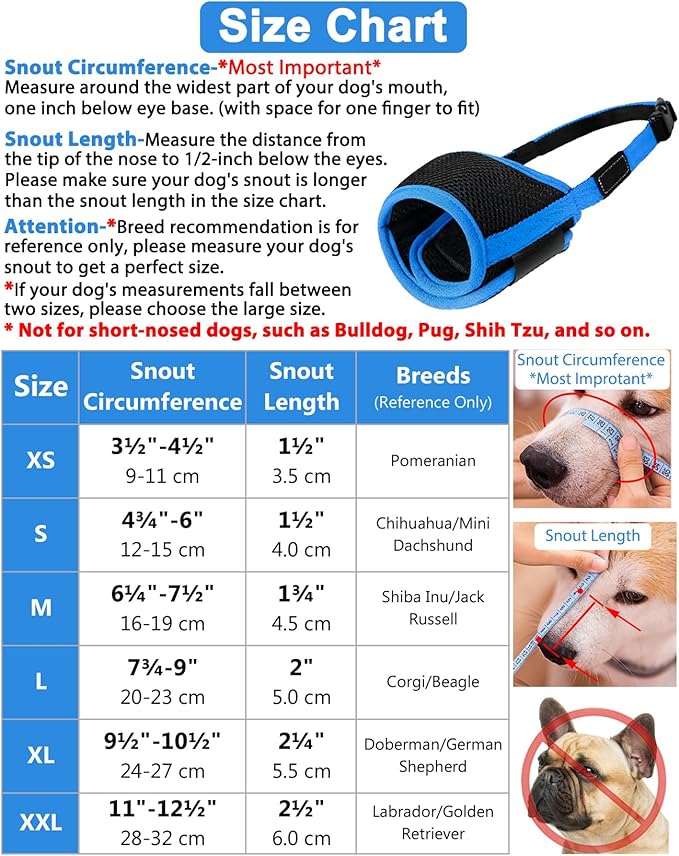 LUCKYPAW Dog Muzzle Anti Biting Barking and Chewing with Comfortable Mesh Soft Fabric and Adjustable Strap, Suitable for Small, Medium and Large Dogs(Blue Trim,XS)