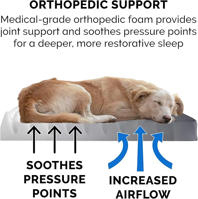Furhaven Orthopedic Dog Bed for Large/Medium Dogs w/ Removable Washable Cover, For Dogs Up to 55 lbs - Terry & Suede Mattress - Gray, Large