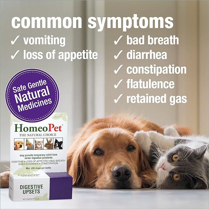 HomeoPet Digestive Upsets, Natural Pet Digestive Support, Digestive Supplement for Dogs, Cats, and Small Pets, 15 Milliliters