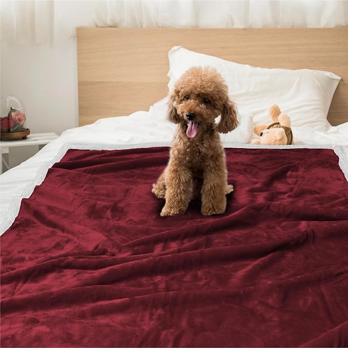 PetAmi WATERPROOF Dog Blanket for Medium Large Dog, Pet Puppy Blanket Couch Cover Protection, Sherpa Fleece Cat Blanket, Sofa Bed Furniture Protector Reversible Soft Plush Washable, 60x40 Wine Red