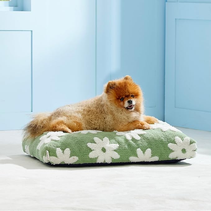 Lesure Small Dog Beds-Thick Shredded Chopped Foam Pet Bed, Dog Bed Indoor with Removable Cover, Cute Modern Fuzzy Plush & Anti Slip Bottom(24'x16', Green)