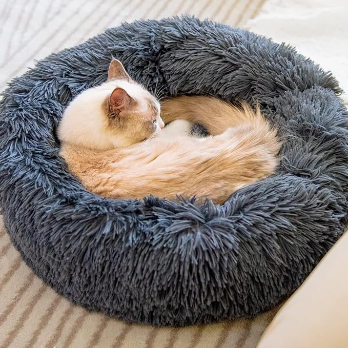 Cat Beds for Indoor Cats - Large Cat Bed Washable 24 inches, Dog Beds for Small Medium Dogs, Anti Anxiety Round Fluffy Plush Faux Fur Cat Bed,Thick Bottom Pet Bed