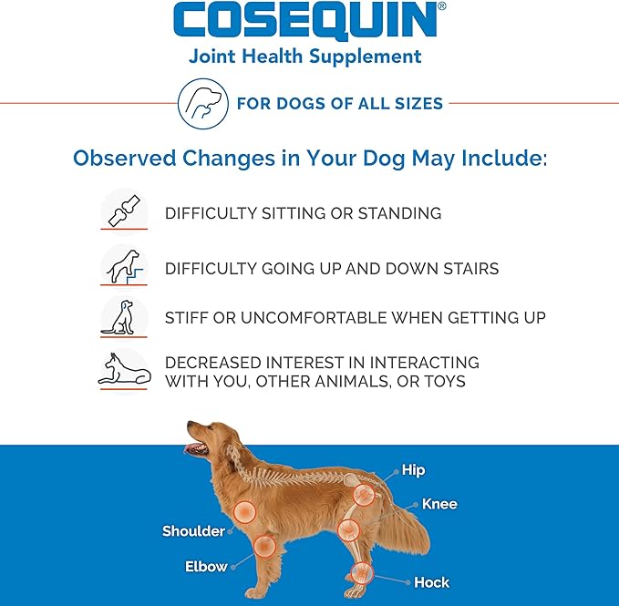Nutramax Laboratories Cosequin Maximum Strength Joint Health Supplement for Dogs - With Glucosamine, Chondroitin, and MSM, 60 Chewable Tablets